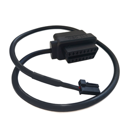 Kabel SGW RAM Pickup Bypass
